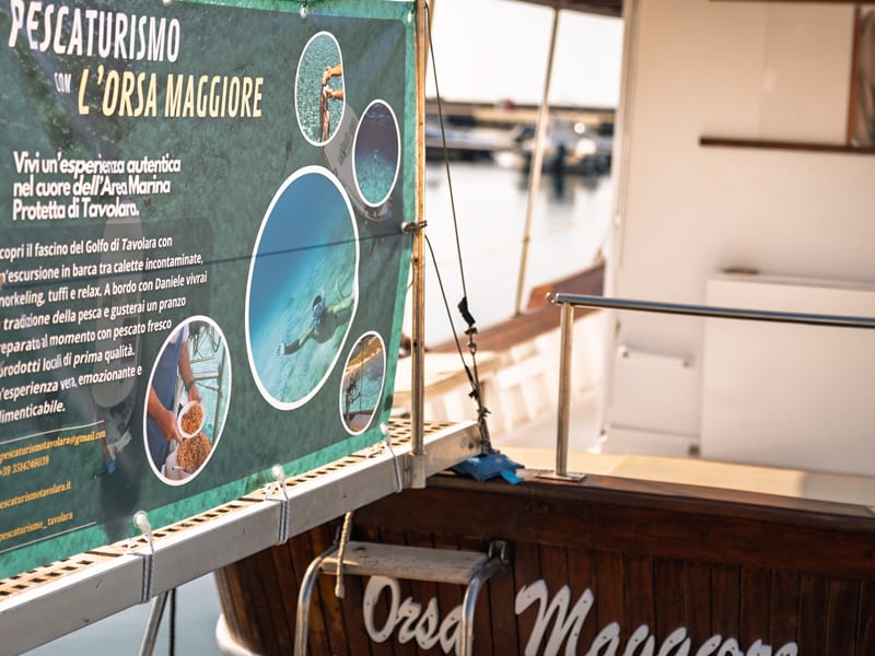 Pesca turismo nell'Area Marina Protetta di Tavolara